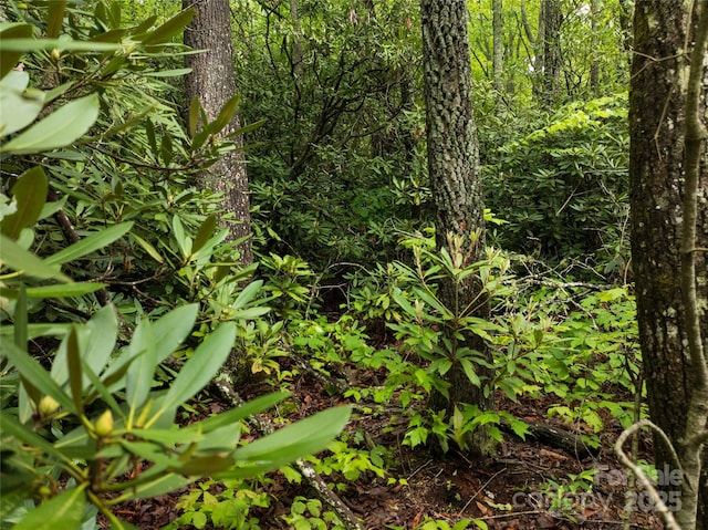 52 Settings Blvd, Black Mountain, NC 28711