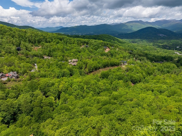 52 Settings Blvd, Black Mountain, NC 28711