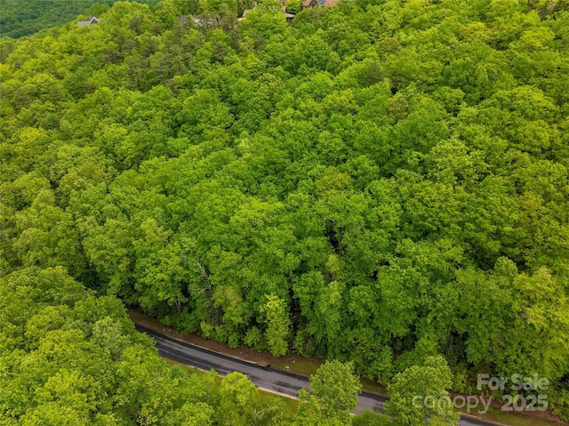 52 Settings Blvd, Black Mountain, NC 28711