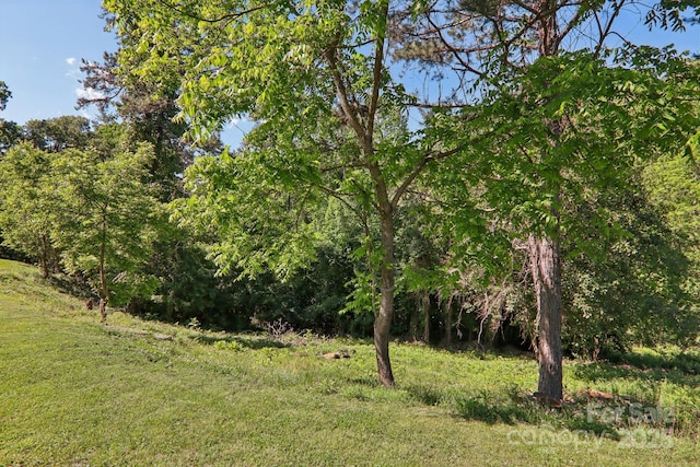 85 Star Flower Rd, Alexander, NC 28701 - view of local wilderness