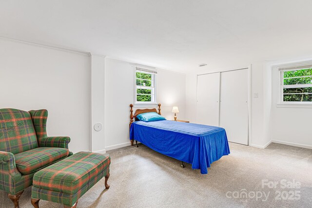 38 Westridge Dr, Asheville, NC 28803 - bedroom featuring carpet flooring, baseboards, and a closet