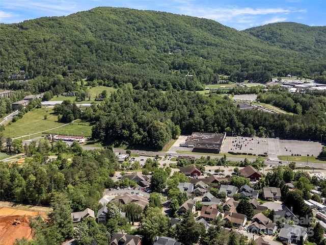 7 Oakhaven Ter, Asheville, NC 28803 - aerial view of a forest and a mountain backdrop