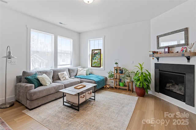 212 Rockrose Ct, Asheville, NC 28803 - living area featuring wood finished floors and a glass covered fireplace