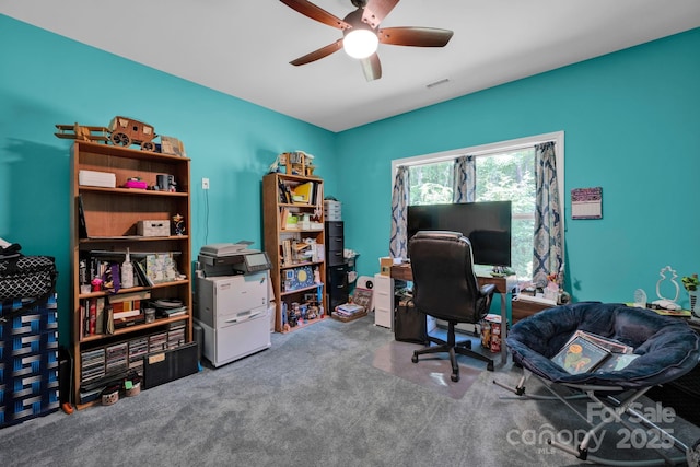 226 Stockwood Ln, Stanley, NC 28164 - office space with ceiling fan and carpet floors