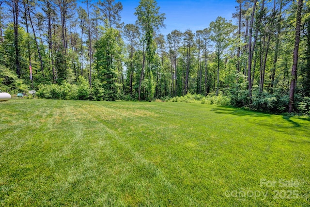 226 Stockwood Ln, Stanley, NC 28164 - view of grassy yard with a forest view