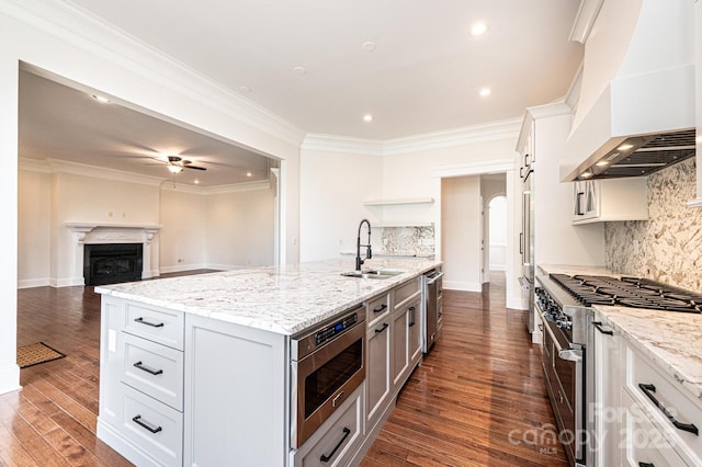 4431 1st Street Dr NW, Hickory, NC 28601 - kitchen featuring high quality appliances, custom range hood, a sink, crown molding, and a ceiling fan
