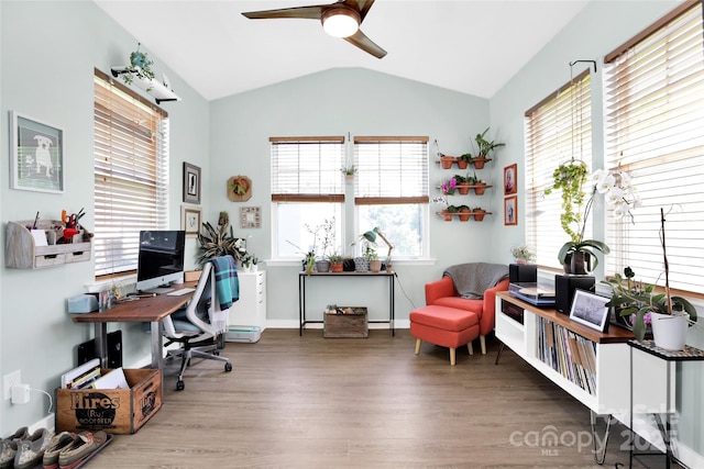 2210 Winding River Dr, Charlotte, NC 28214 - home office with vaulted ceiling, wood finished floors, and a ceiling fan