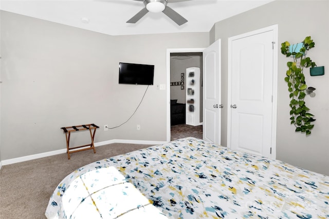 2210 Winding River Dr, Charlotte, NC 28214 - bedroom with carpet, baseboards, and ceiling fan