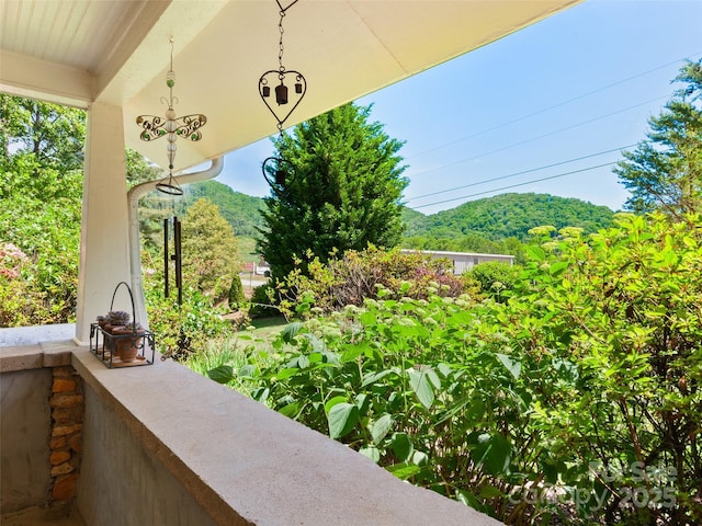 229 Crabtree Mountain Rd, Canton, NC 28716 - view of patio
