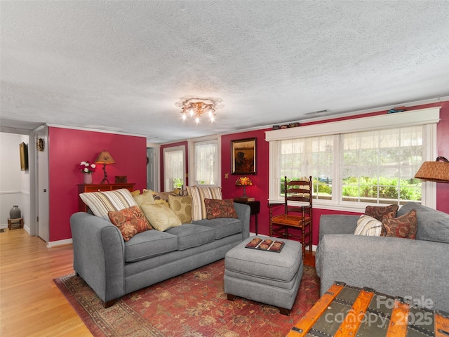 229 Crabtree Mountain Rd, Canton, NC 28716 - living area with wood finished floors, a textured ceiling, and baseboards