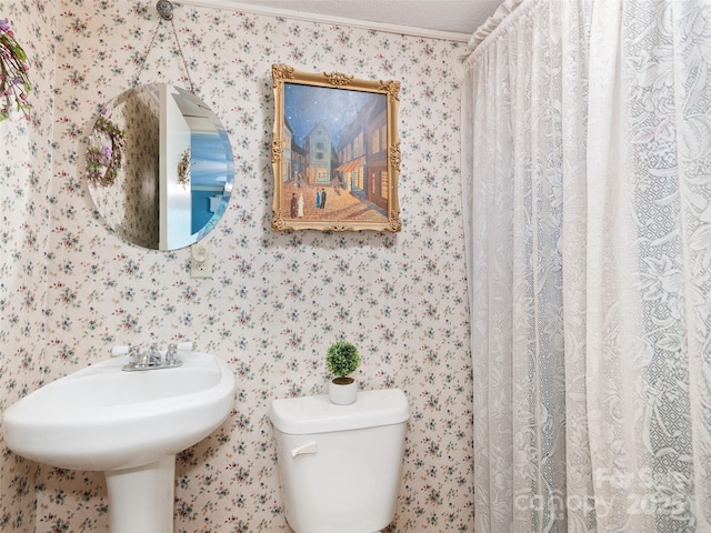229 Crabtree Mountain Rd, Canton, NC 28716 - full bath featuring wallpapered walls, toilet, and ornamental molding