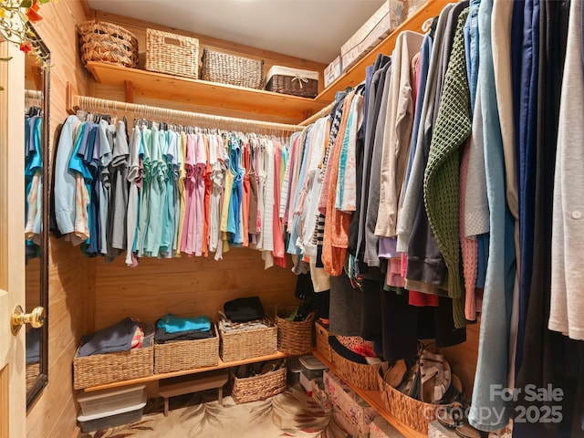 229 Crabtree Mountain Rd, Canton, NC 28716 - view of spacious closet