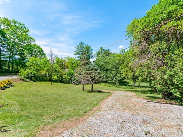 229 Crabtree Mountain Rd, Canton, NC 28716 - view of street
