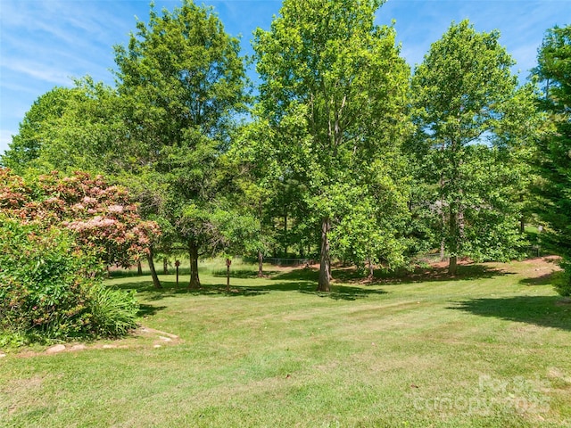 229 Crabtree Mountain Rd, Canton, NC 28716 - view of grassy yard
