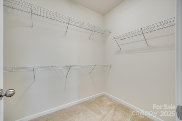 4051 Whittier Ln, Fort Mill, SC 29708 - walk in closet with light colored carpet