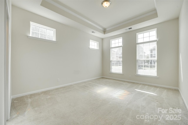 4051 Whittier Ln, Fort Mill, SC 29708 - spare room featuring a tray ceiling, crown molding, carpet, and baseboards