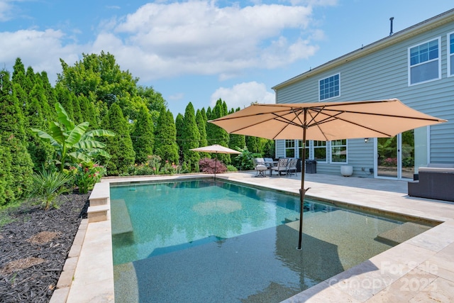 1211 Gold Rush Ct, Fort Mill, SC 29708 - outdoor pool with a patio