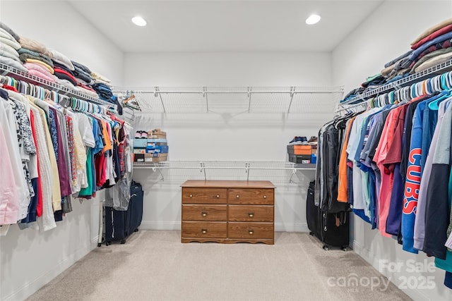8115 Wilburn Ct, Charlotte, NC 28277 - walk in closet featuring carpet