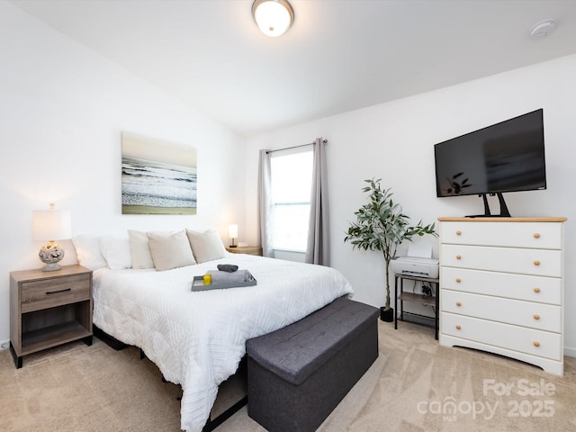 13422 Calloway Glen Dr, Charlotte, NC 28273 - bedroom featuring light carpet
