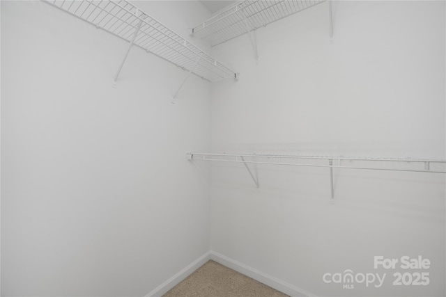 6416 Union Station Ct, Charlotte, NC 28210 - walk in closet featuring carpet