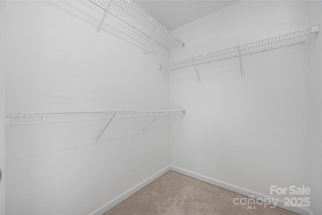 6416 Union Station Ct, Charlotte, NC 28210 - walk in closet featuring carpet floors