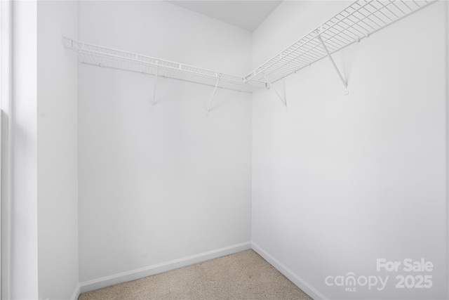 6416 Union Station Ct, Charlotte, NC 28210 - spacious closet with carpet