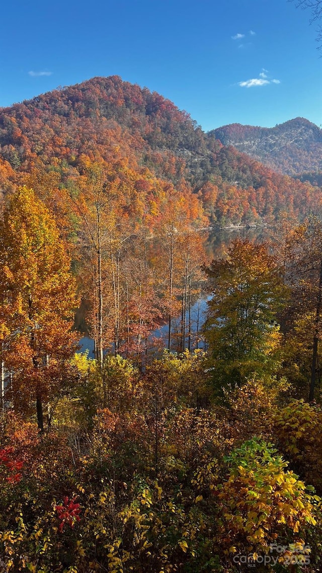 75 Indigo Bunting Ct, Tuckasegee, NC 28783 - view of mountain background with a heavily wooded area