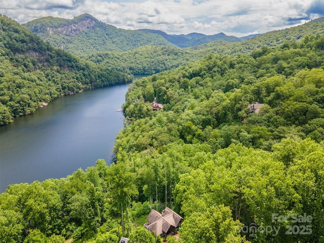 75 Indigo Bunting Ct, Tuckasegee, NC 28783 - bird's eye view of a heavily wooded area and a water and mountain view