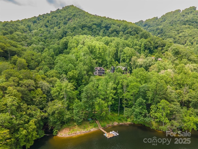 75 Indigo Bunting Ct, Tuckasegee, NC 28783 - drone / aerial view of a heavily wooded area