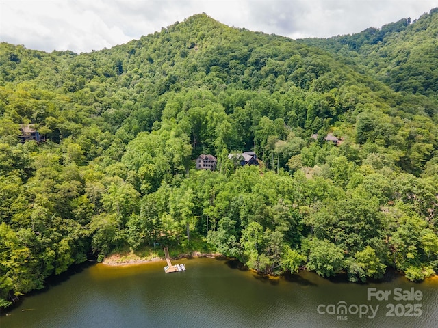 75 Indigo Bunting Ct, Tuckasegee, NC 28783 - drone / aerial view of a forest and a nearby body of water