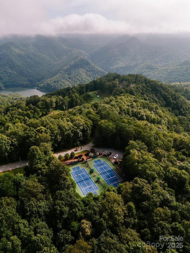 75 Indigo Bunting Ct, Tuckasegee, NC 28783 - bird's eye view of a forest and a water and mountain view