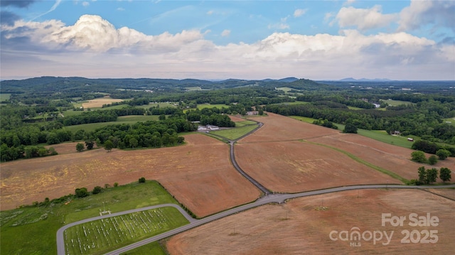 1100 Glen Oaks Dr, Hamptonville, NC 27020 - view of rural area with mountains