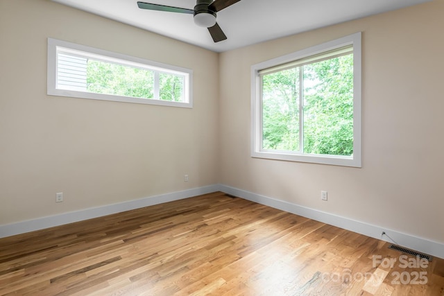 31 Mauricet Ln, Asheville, NC 28806 - photo 21