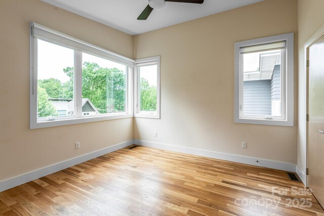 31 Mauricet Ln, Asheville, NC 28806 - photo 29