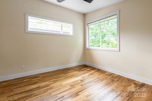 31 Mauricet Ln, Asheville, NC 28806 - photo 30