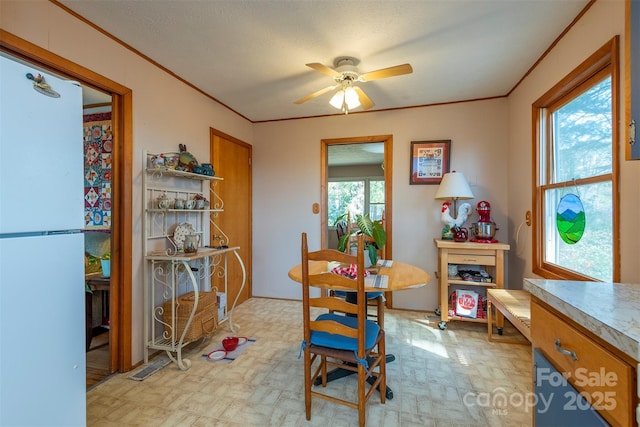 52 Oakhurst Rd, Arden, NC 28704 - dining area featuring a ceiling fan, ornamental molding, and light flooring