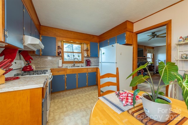 52 Oakhurst Rd, Arden, NC 28704 - kitchen with under cabinet range hood, freestanding refrigerator, gas stove, a sink, and open shelves