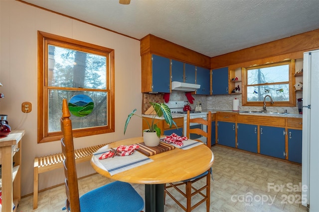 52 Oakhurst Rd, Arden, NC 28704 - kitchen featuring under cabinet range hood, a sink, blue cabinetry, backsplash, and ornamental molding