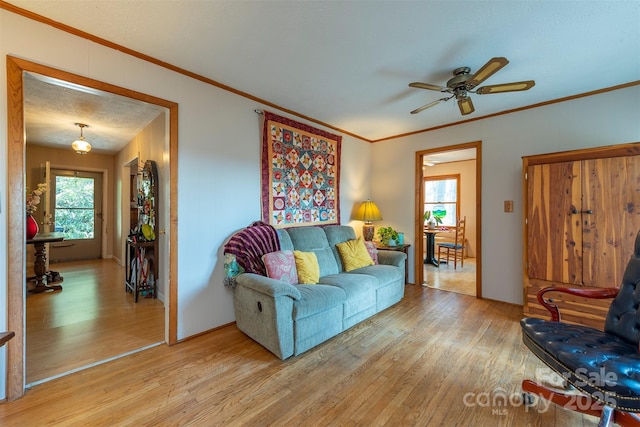 52 Oakhurst Rd, Arden, NC 28704 - living room with light wood-type flooring, ceiling fan, and crown molding