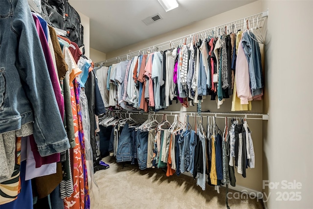 1206 Craig Ave, Lancaster, SC 29720 - walk in closet with carpet floors