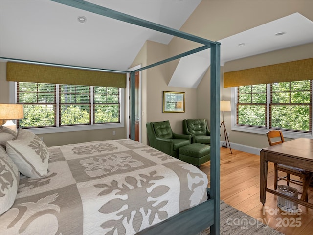 24 Deep Creek Trl, Arden, NC 28704 - bedroom featuring hardwood / wood-style floors, vaulted ceiling, multiple windows, and baseboards