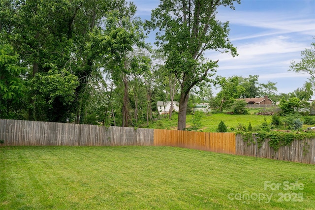 307 Hazel Mill Rd, Asheville, NC 28806 - view of yard