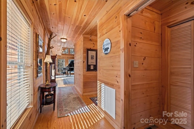 650 Mcdowell Rd, Columbus, NC 28722 - corridor featuring wood walls, wood finished floors, and wooden ceiling