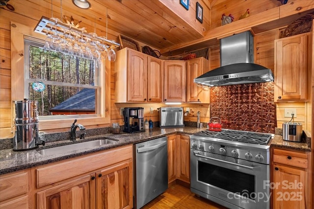 650 Mcdowell Rd, Columbus, NC 28722 - kitchen featuring stainless steel appliances, wall chimney exhaust hood, a sink, dark stone counters, and light wood finished floors
