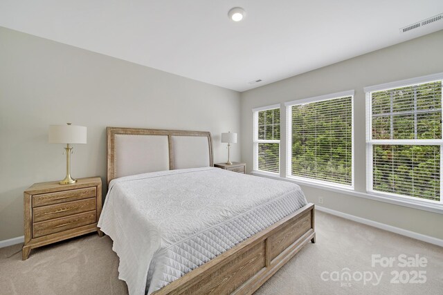 45008 Wigeon Ln Unit 202, Indian Land, SC 29707 - photo 18