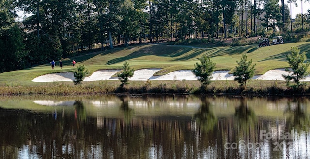 45008 Wigeon Ln Unit 202, Indian Land, SC 29707 - photo 35