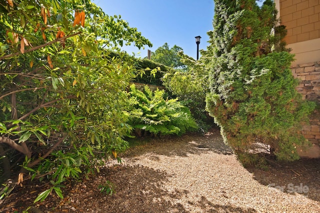 203 Bowling Park Rd, Asheville, NC 28803 - photo 21