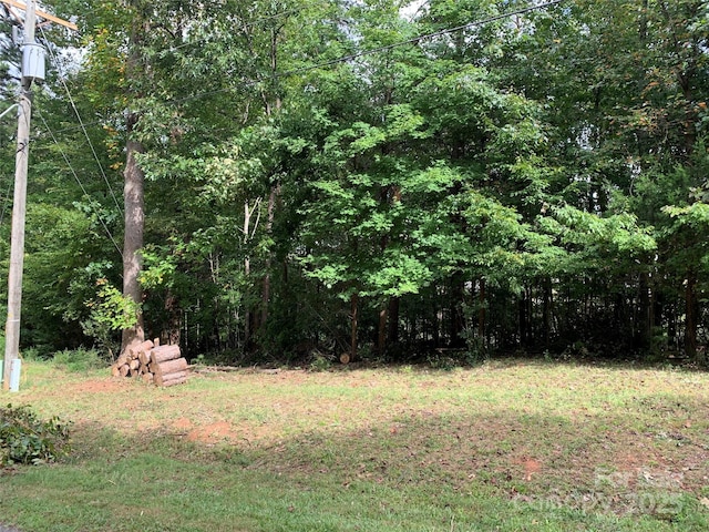 11816 Timber Ridge Rd, Charlotte, NC 28213 - photo 3