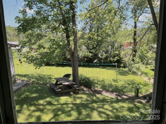 280 Walnut Ave, Spruce Pine, NC 28777 - view of green lawn