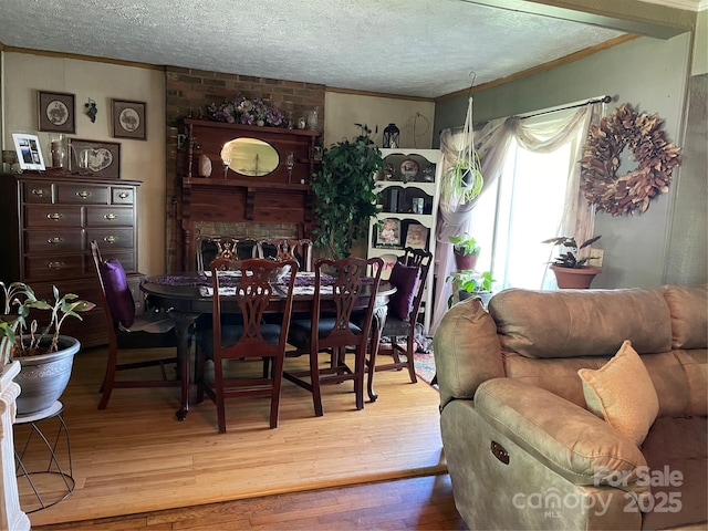 280 Walnut Ave, Spruce Pine, NC 28777 - dining room featuring ornamental molding, a textured ceiling, and wood-type flooring